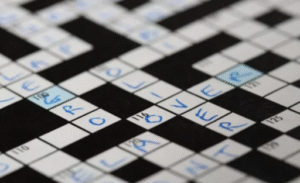 bumped things nyt crossword