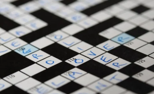 bumped things nyt crossword