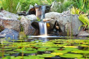 Pond Water Feature
