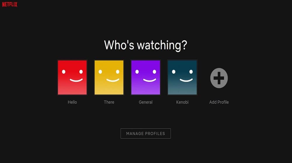 Netflix Account
