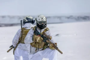 Arctic Security