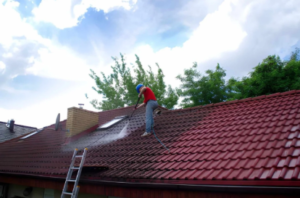 Painted Roof Cleaning