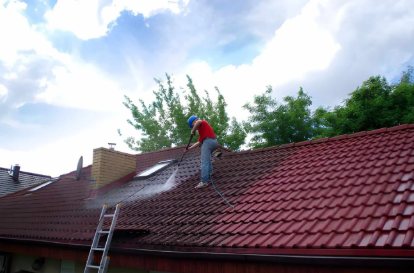 Painted Roof Cleaning